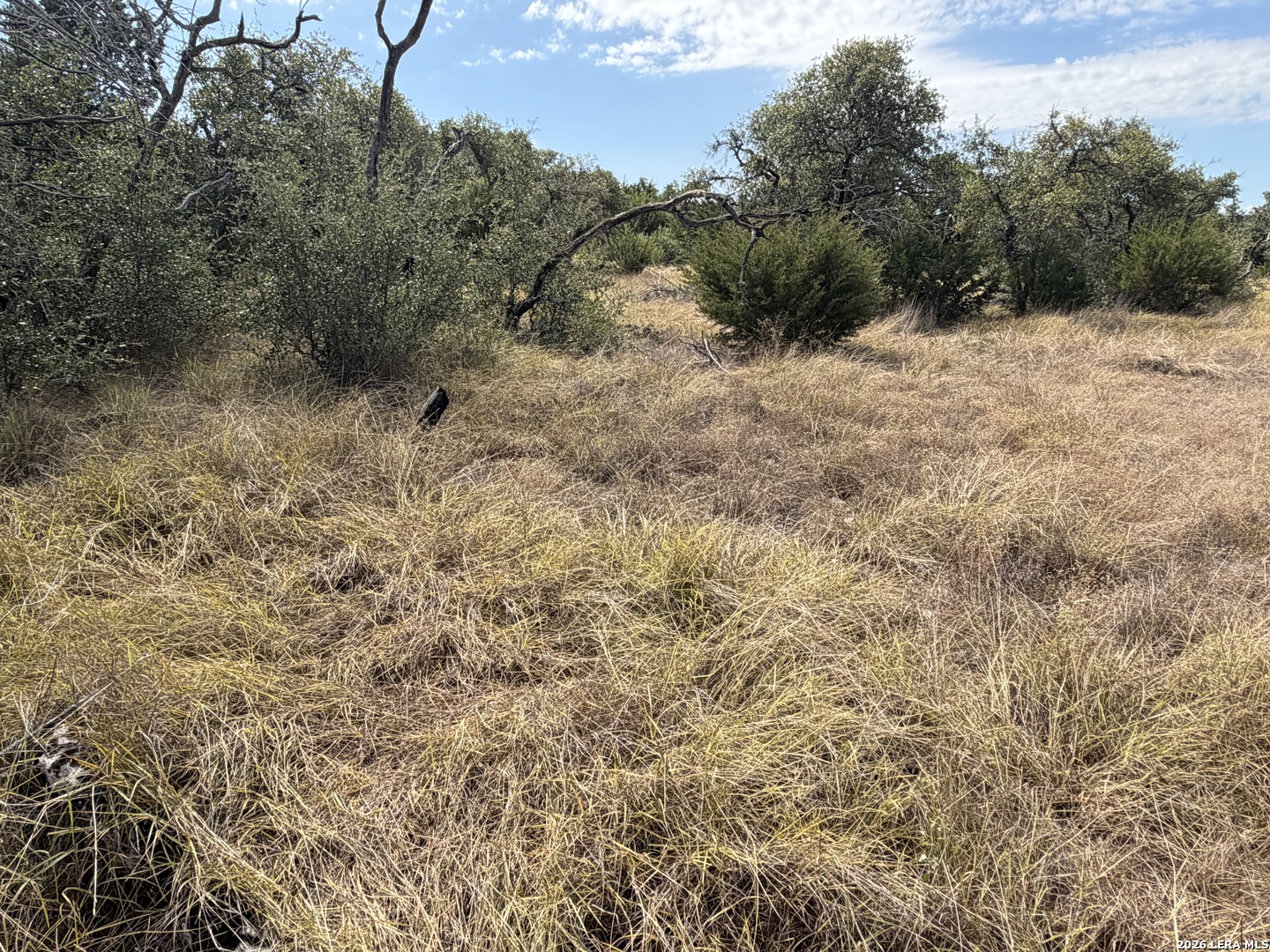 Lot 26 Ph2 Mountain View Drive Mountain Home TX 78058