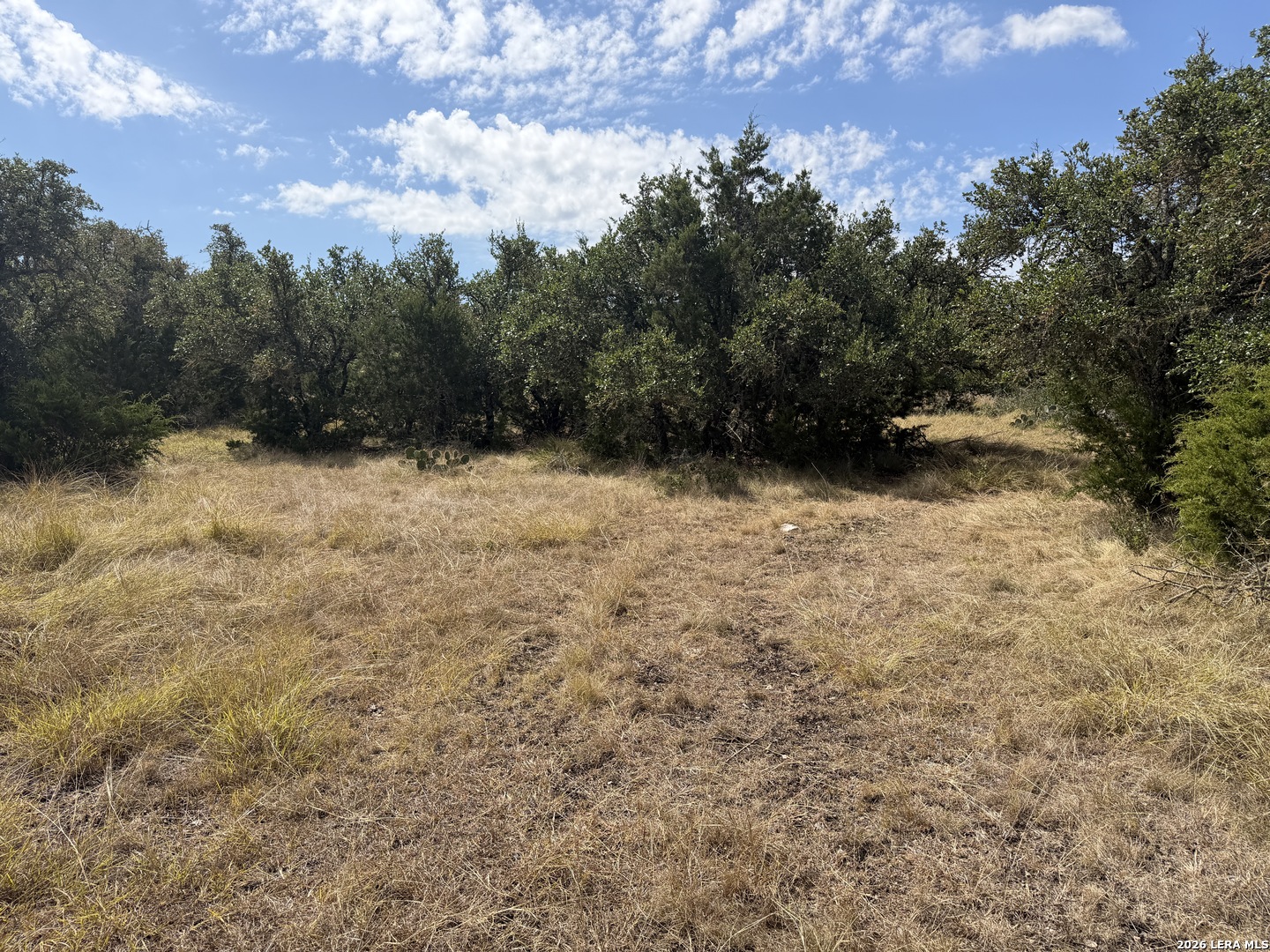 Lot 26 Ph2 Mountain View Drive Mountain Home TX 78058