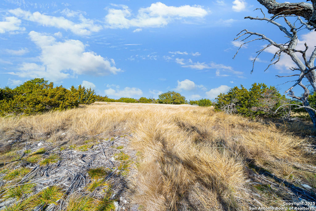 Lot 55 Oakwater Drive Fredericksburg TX 78624
