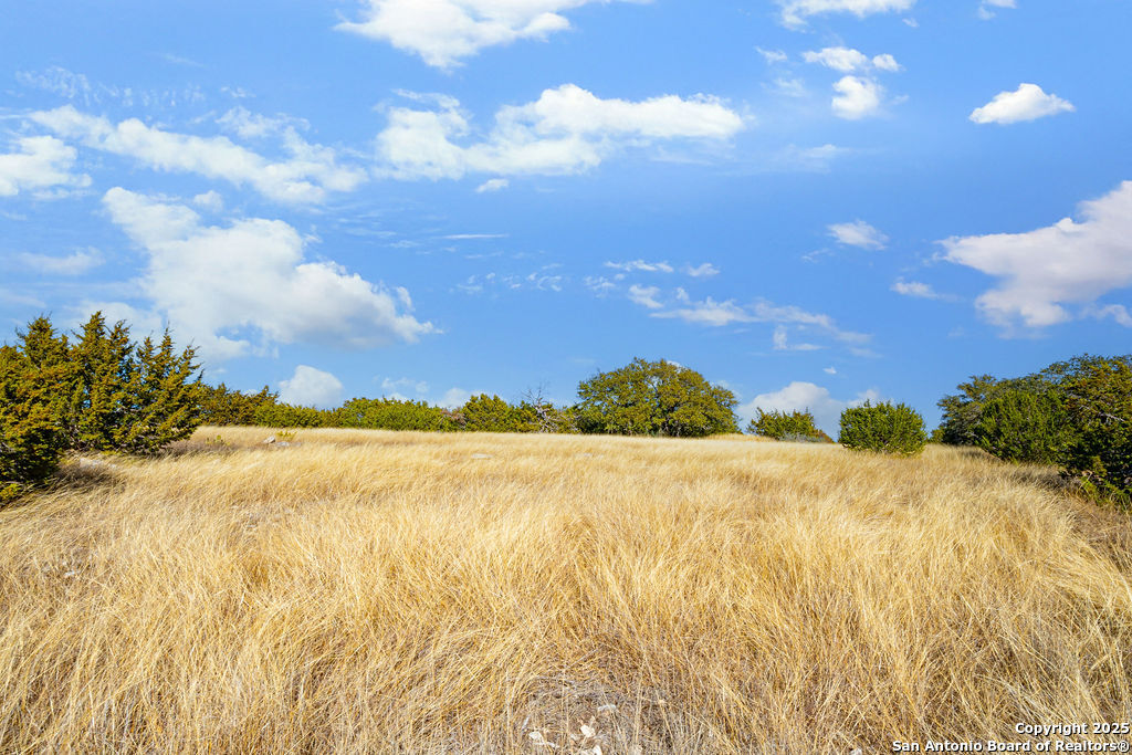 Lot 55 Oakwater Drive Fredericksburg TX 78624