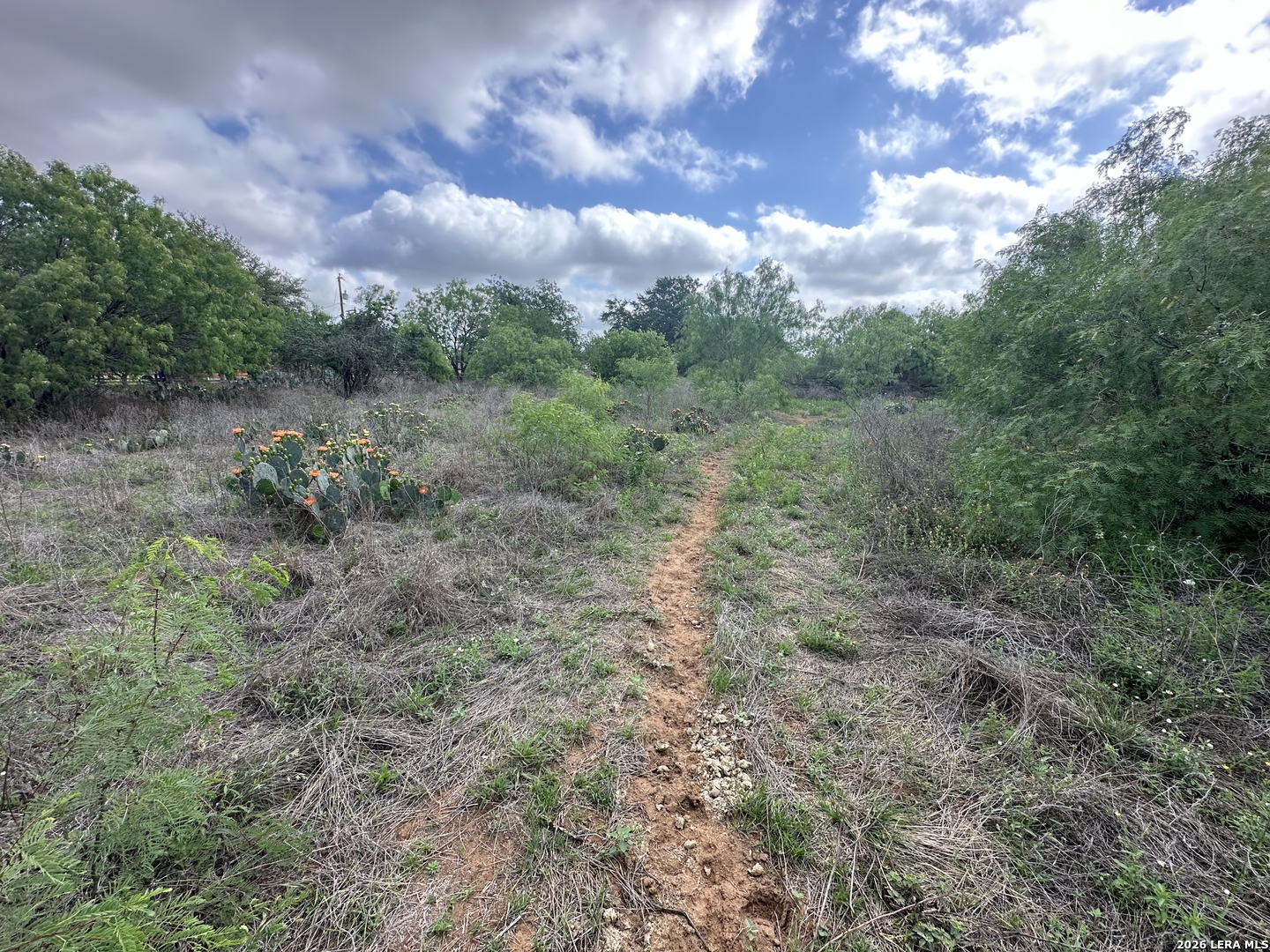 17603 Shepherd Road Atascosa TX 78002