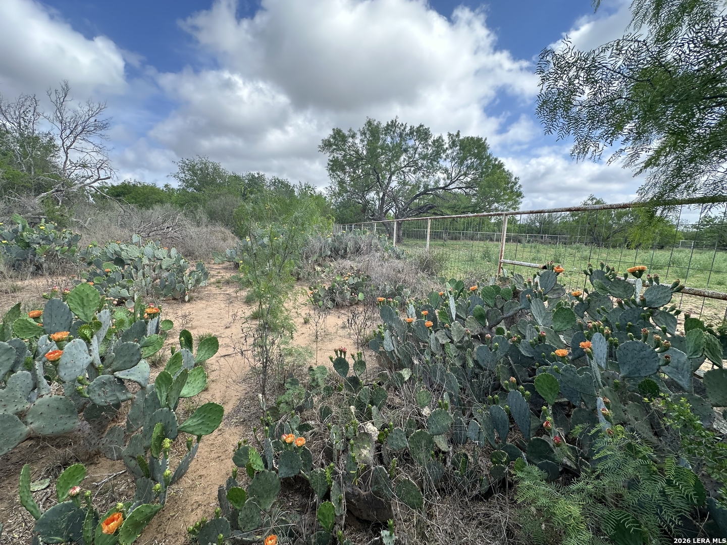 17603 Shepherd Road Atascosa TX 78002