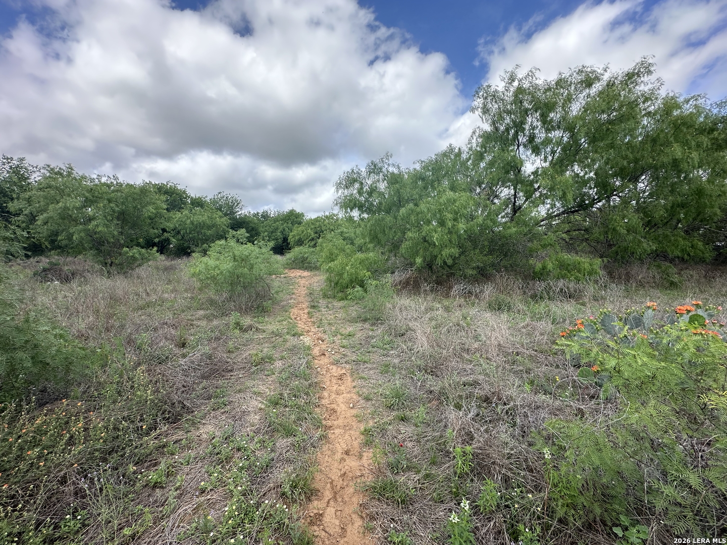 17603 Shepherd Road Atascosa TX 78002