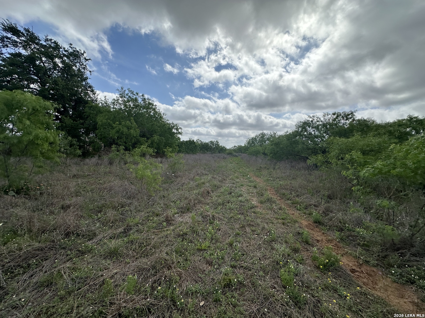 17603 Shepherd Road Atascosa TX 78002