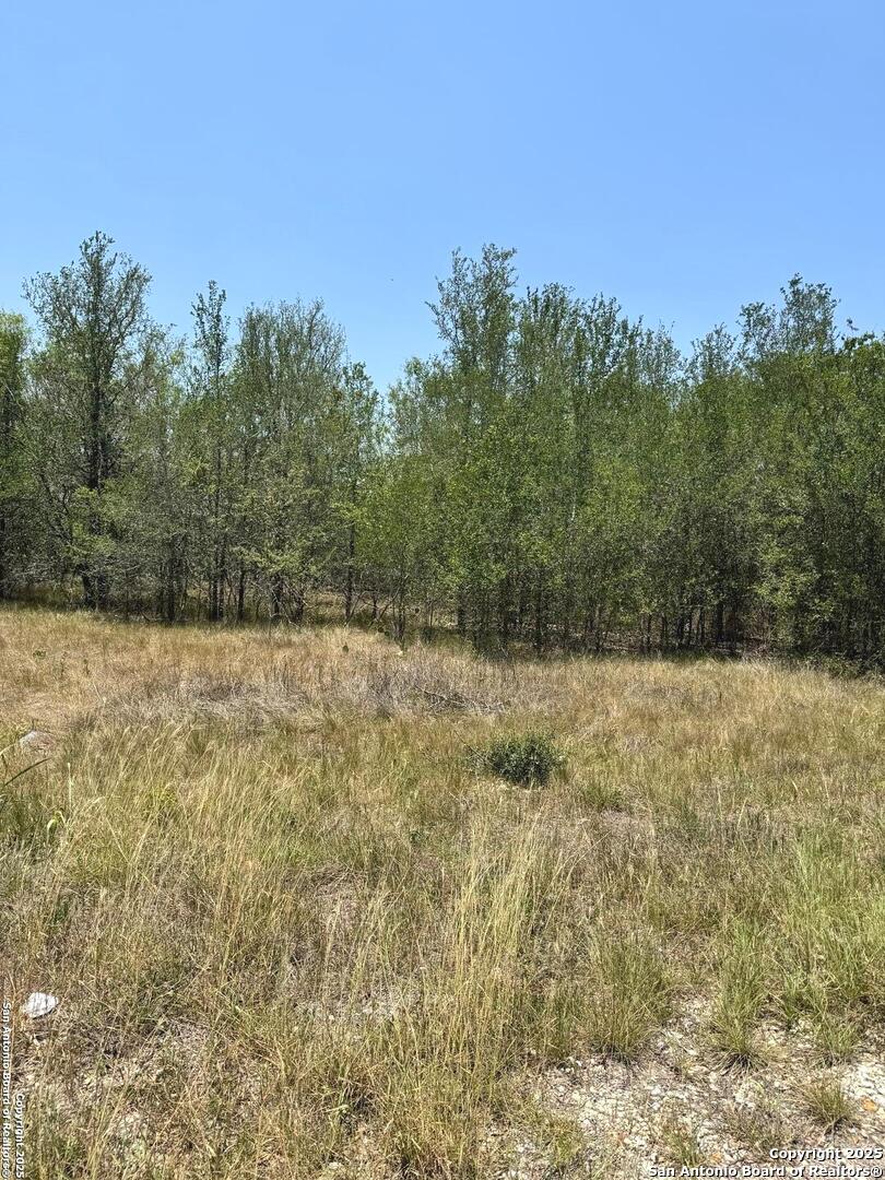 325 County Avenue Sutherland Springs TX 78161