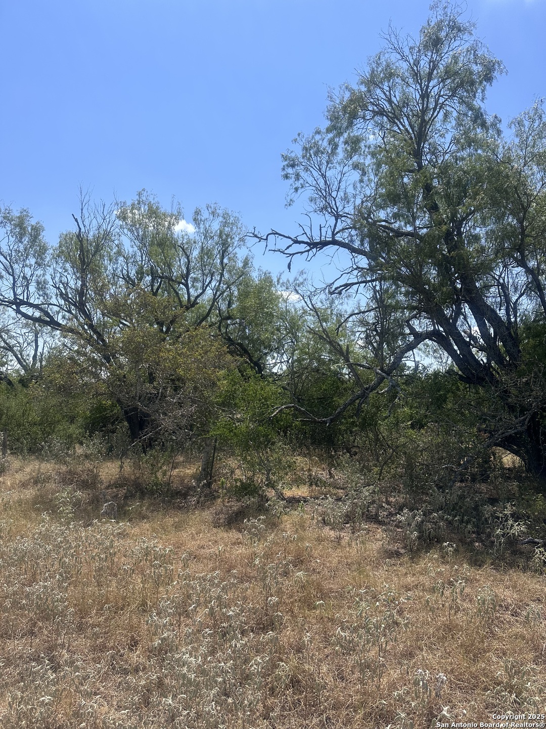 6032 (LOT 9) Cr 405 Floresville TX 78114
