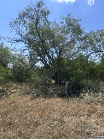 6032 County Road 405 Floresville TX 78114