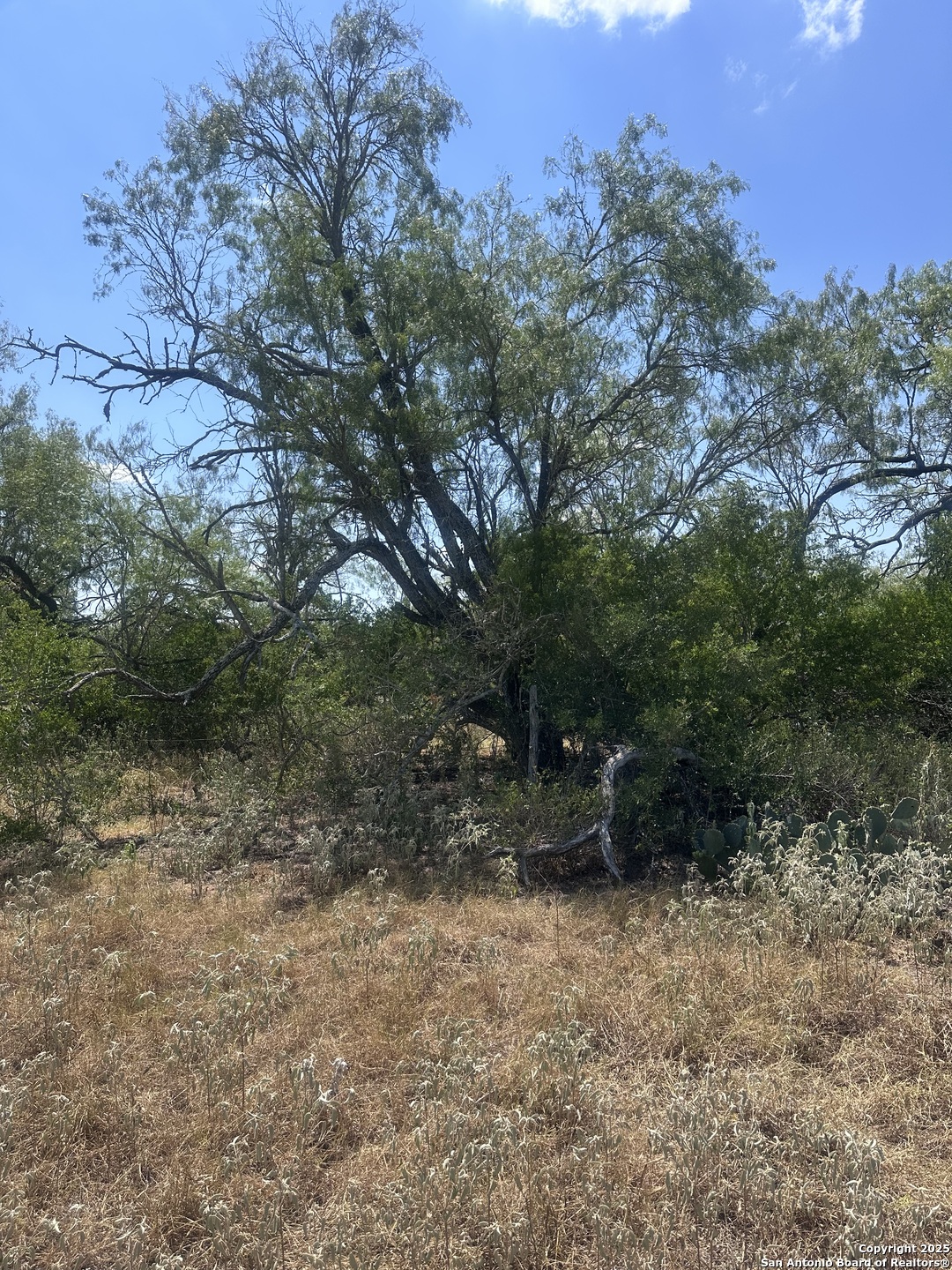 6032 (LOT 9) Cr 405 Floresville TX 78114