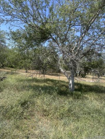 6032 County Road 405 Floresville TX 78114