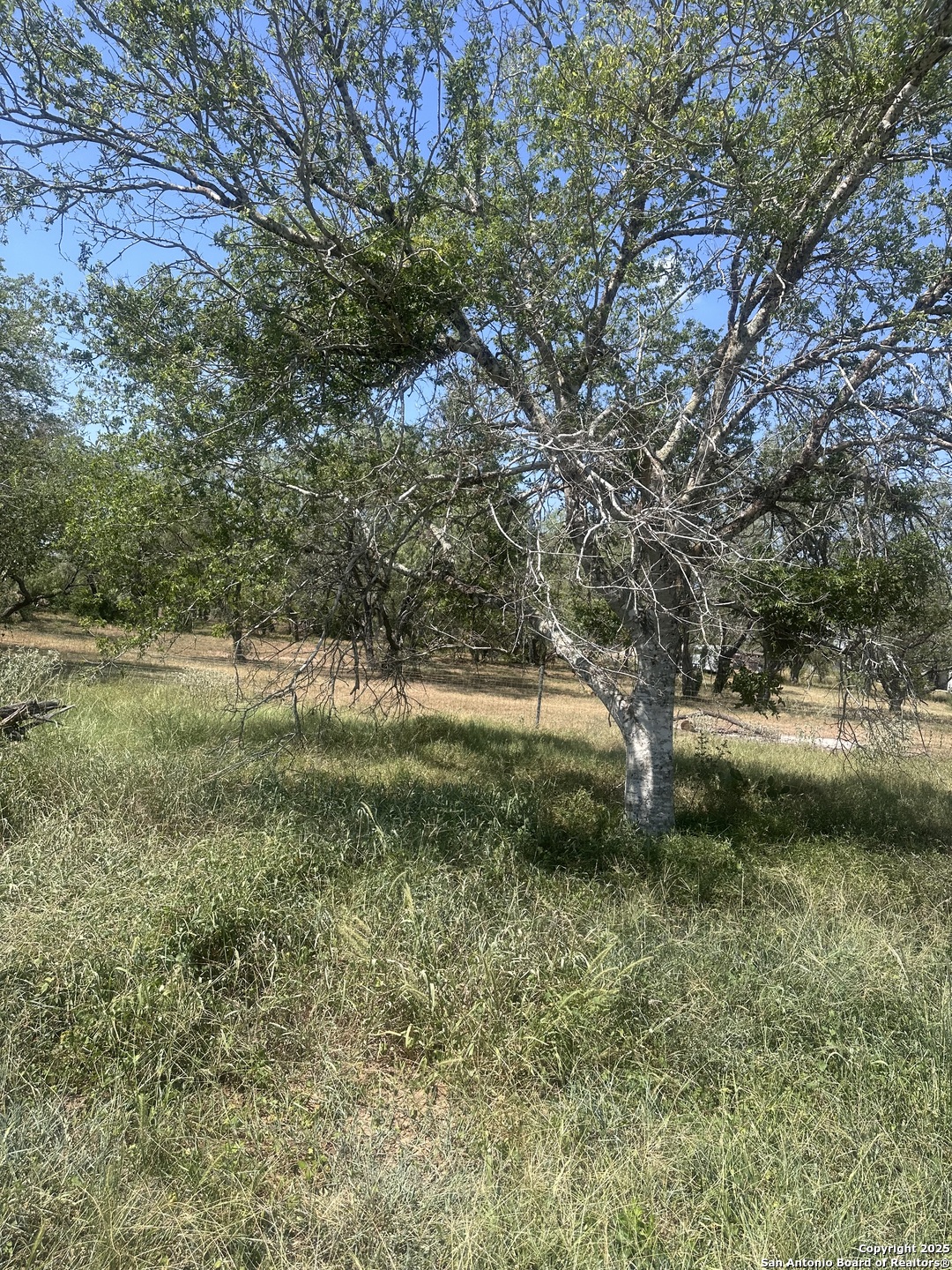 6032 (LOT 9) Cr 405 Floresville TX 78114
