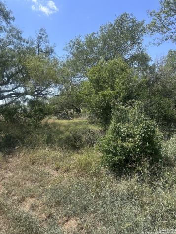6032 County Road 405 Floresville TX 78114