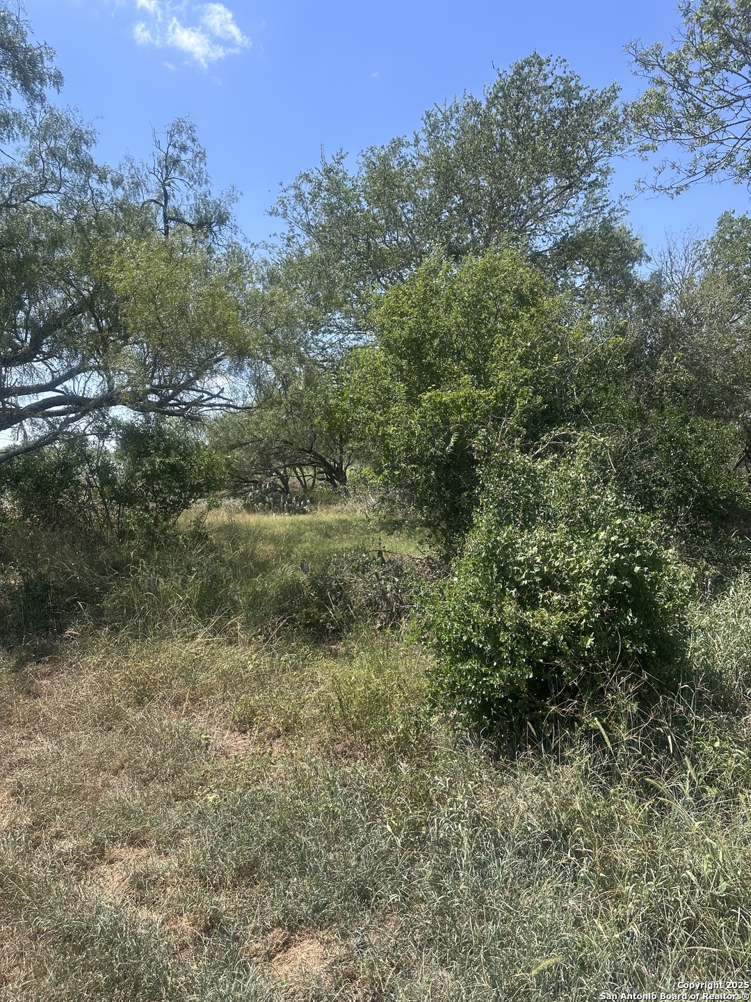 6032 (LOT 9) Cr 405 Floresville TX 78114