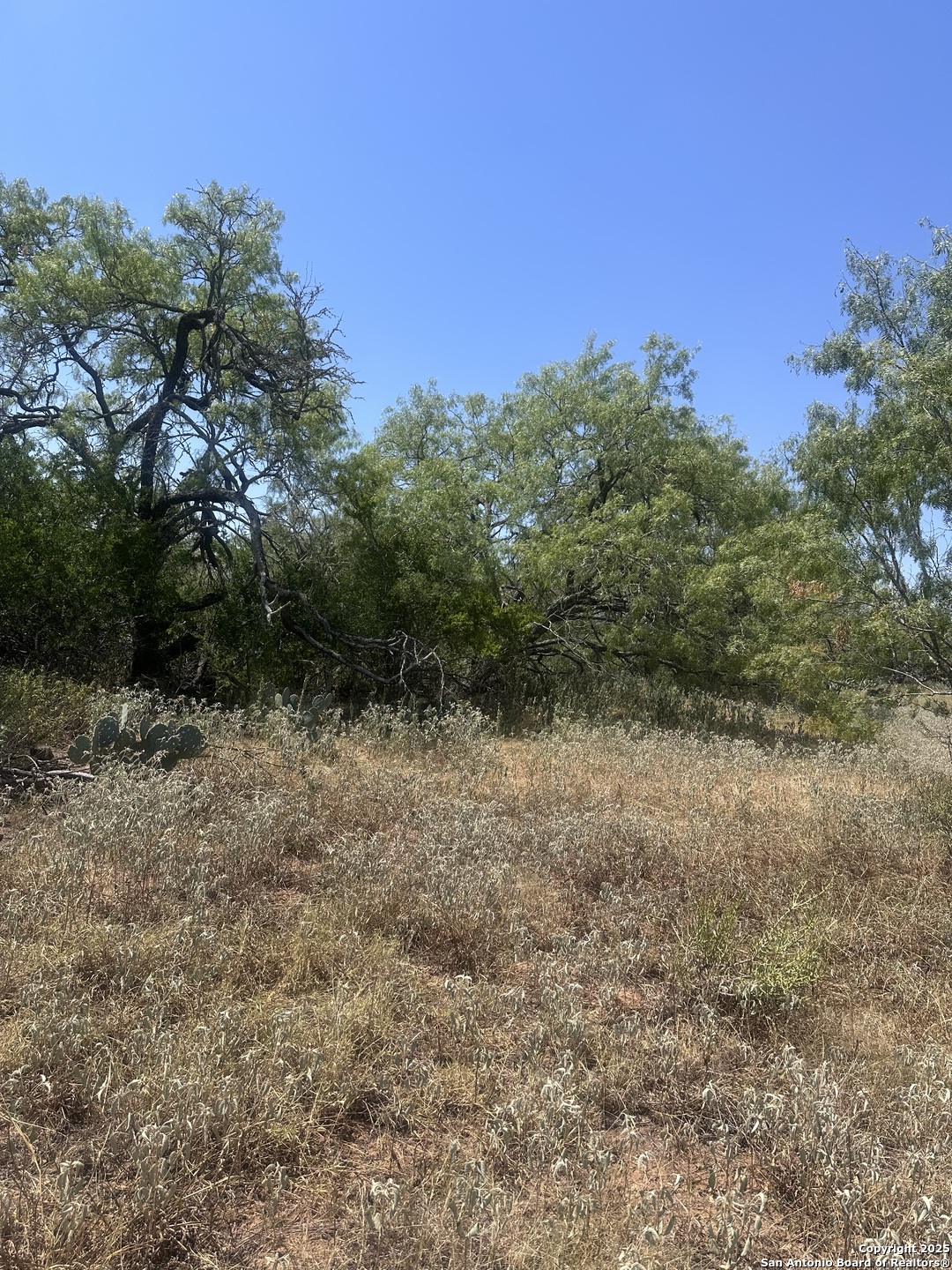 6032 (LOT 9) Cr 405 Floresville TX 78114