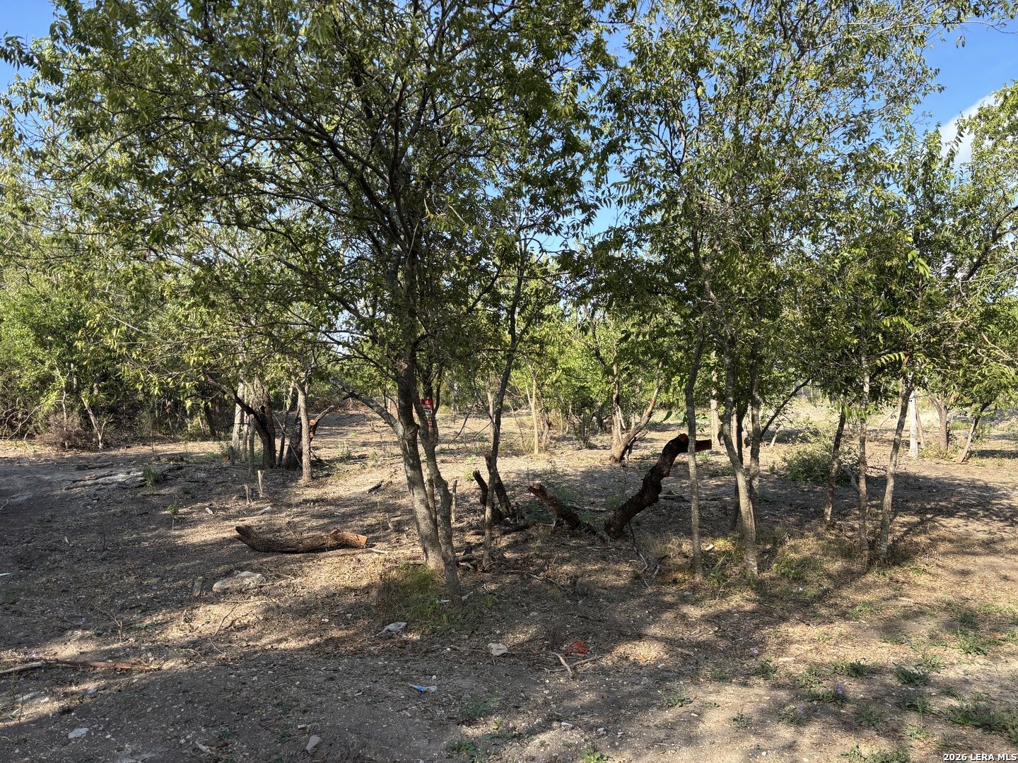 11207 Amhurst San Antonio TX 78213