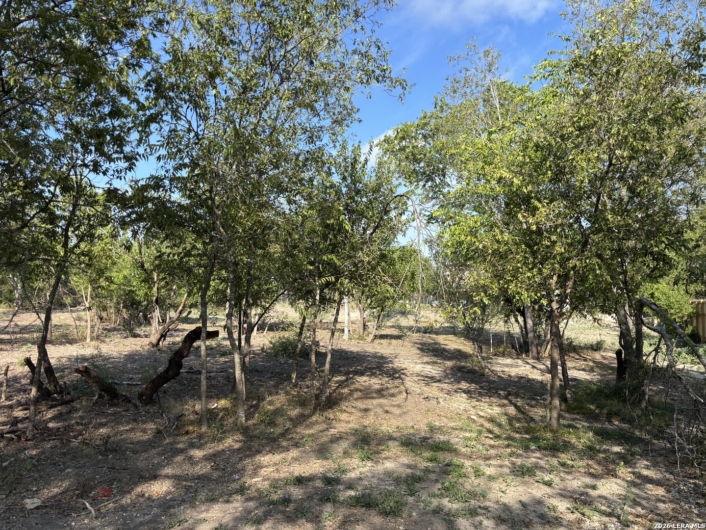 11207 Amhurst San Antonio TX 78213