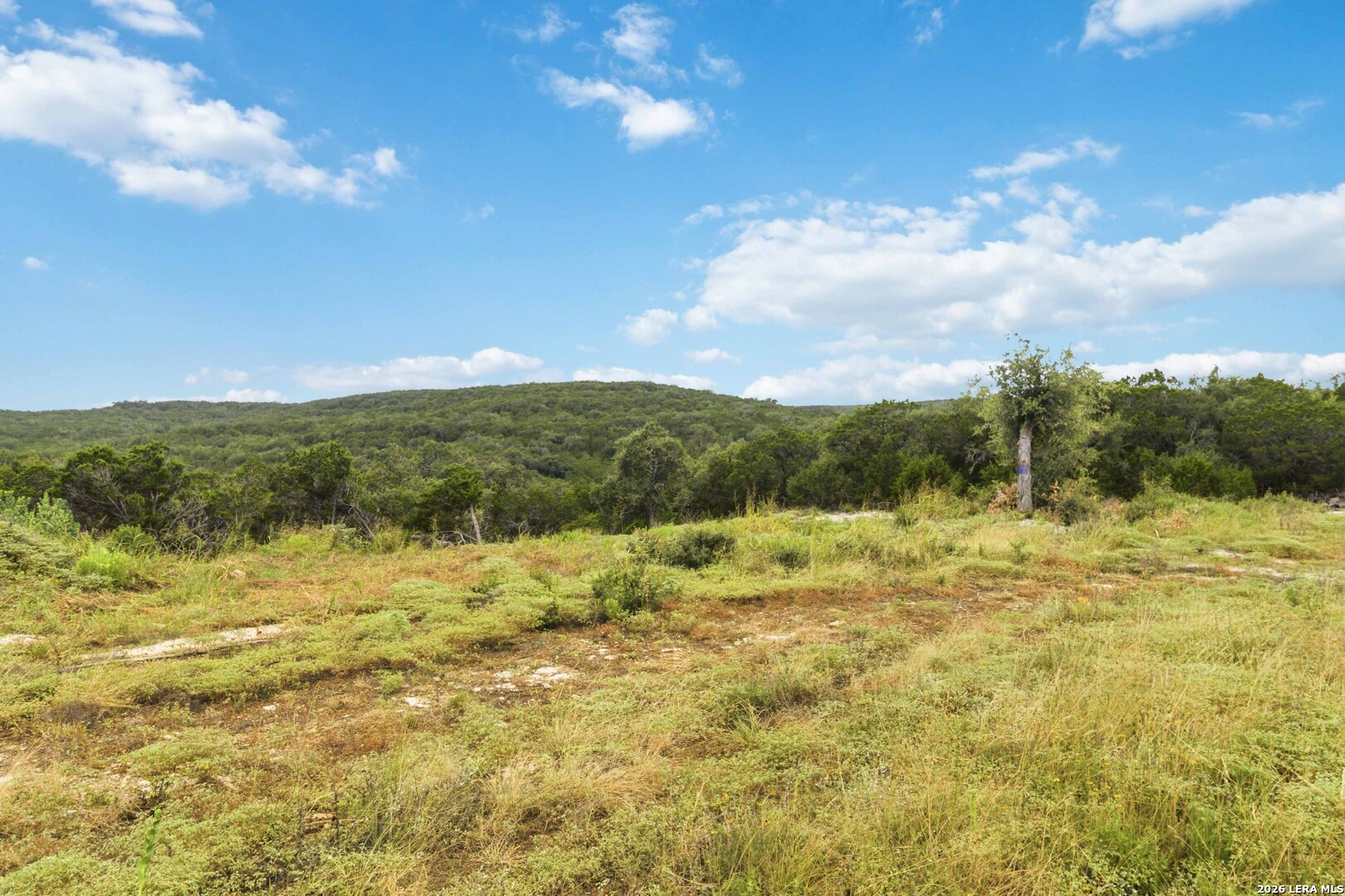 146 George Strait Canyon Lake TX 78133