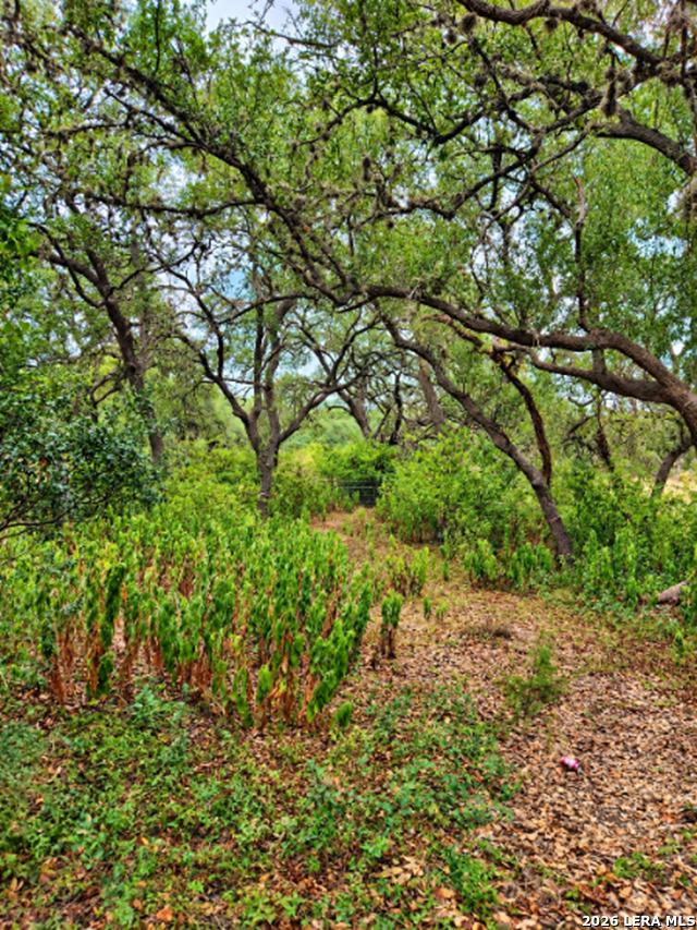 22334 Scenic Loop Road San Antonio TX 78255