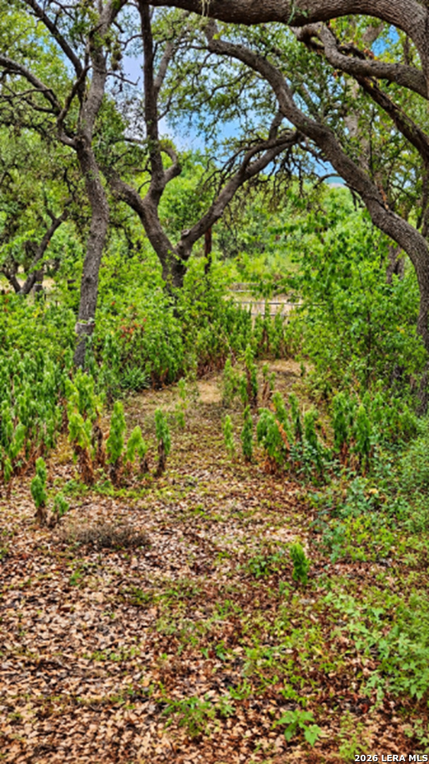 22334 Scenic Loop Road San Antonio TX 78255