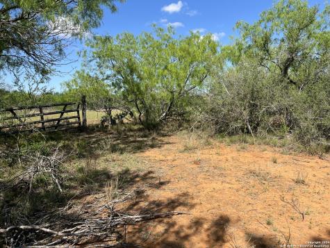 0 Carroll Road Dilley TX 78017