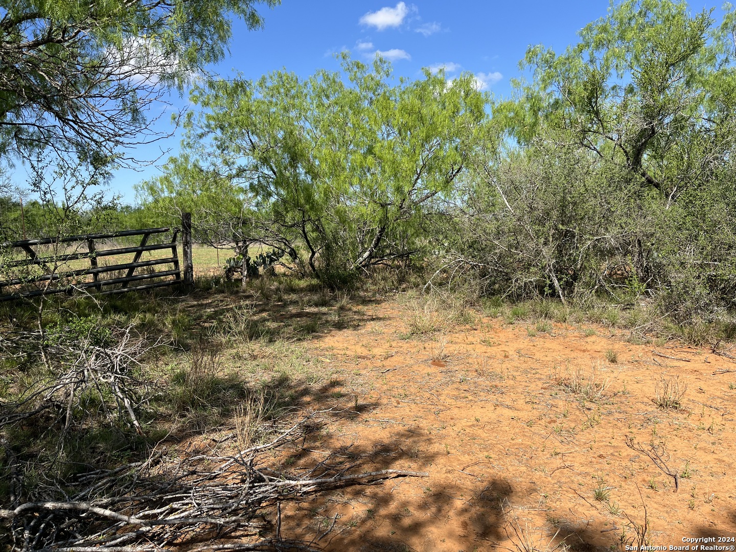 0 Carroll Road Dilley TX 78017