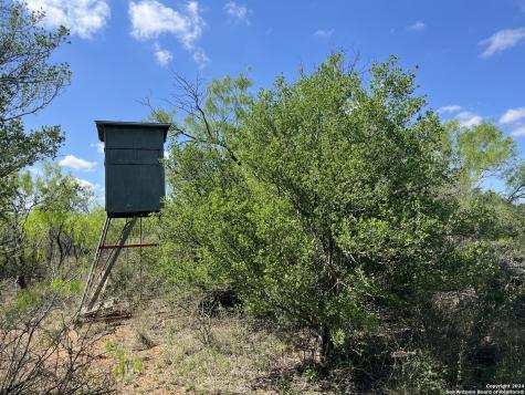 0 Carroll Road Dilley TX 78017