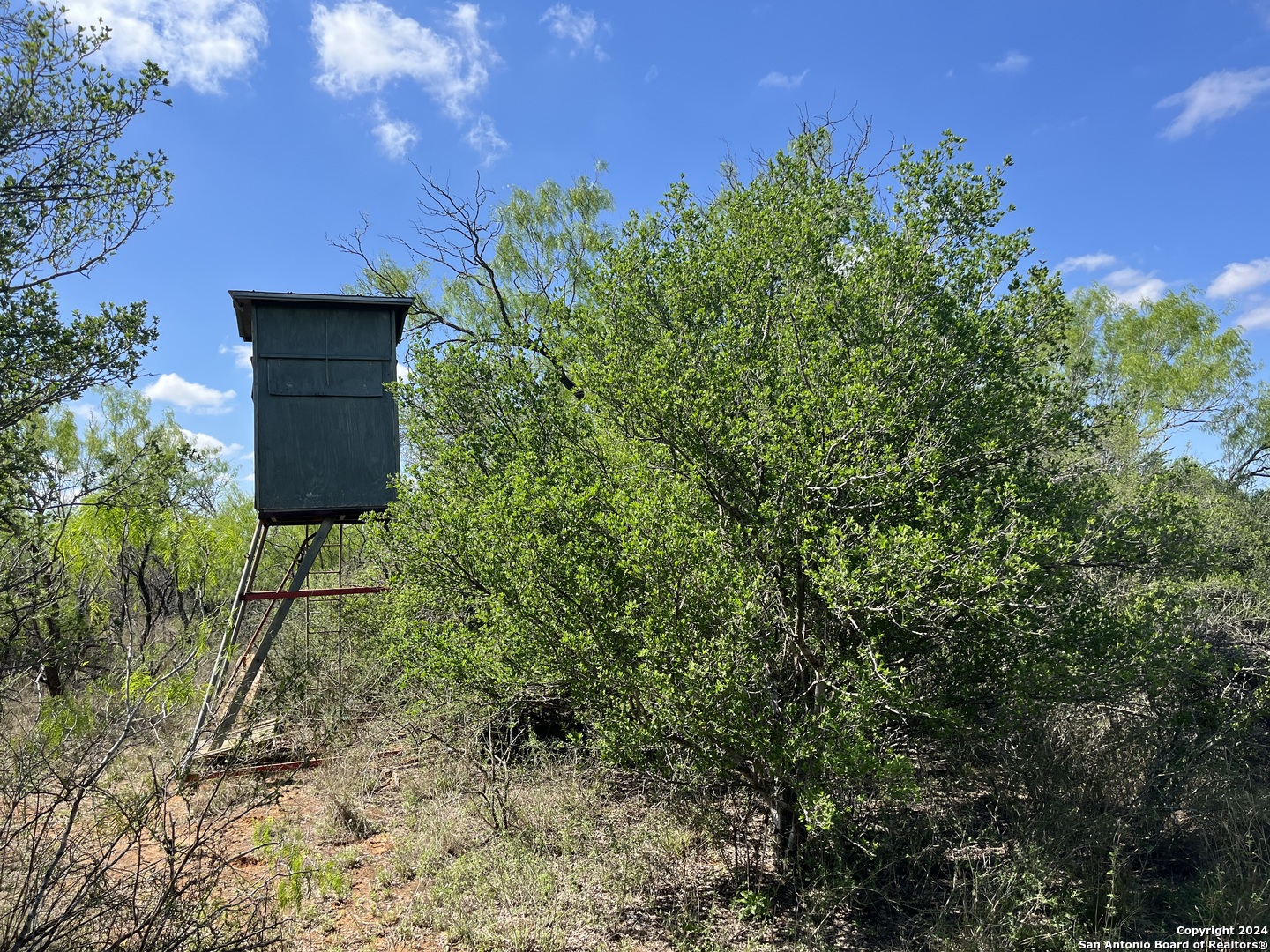 0 Carroll Road Dilley TX 78017