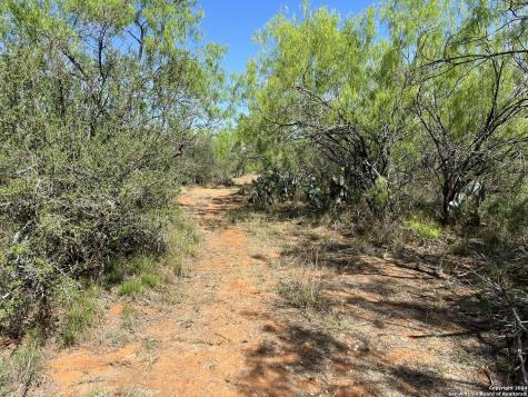 0 Carroll Road Dilley TX 78017