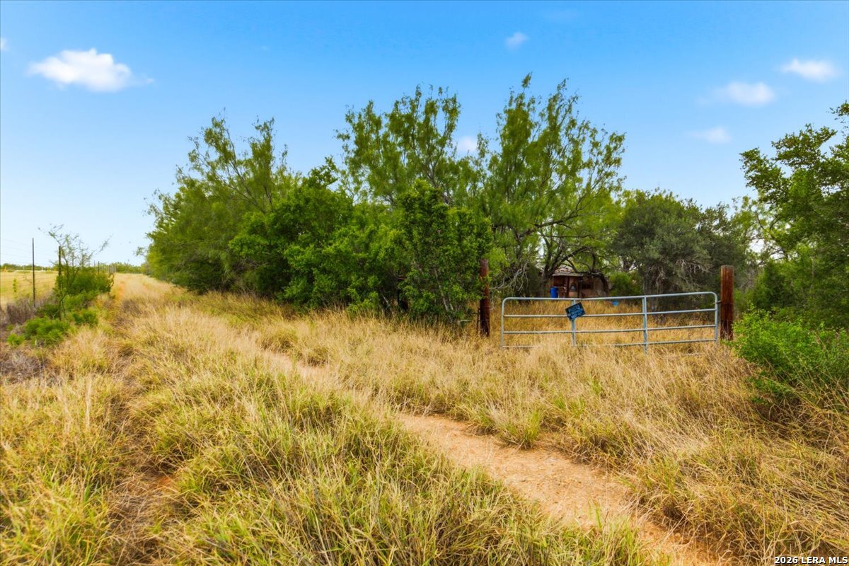 0 Carroll Road Dilley TX 78017