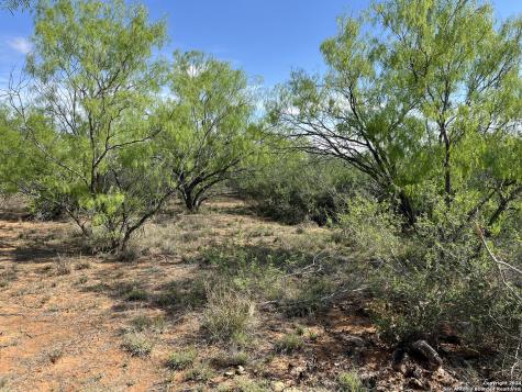 0 Carroll Road Dilley TX 78017