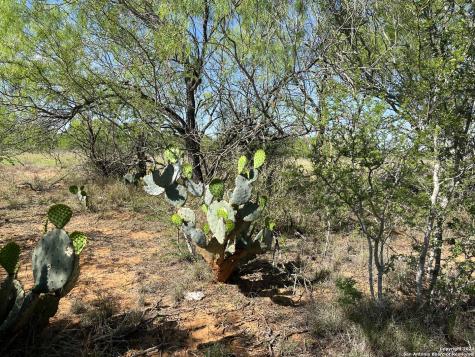0 Carroll Road Dilley TX 78017