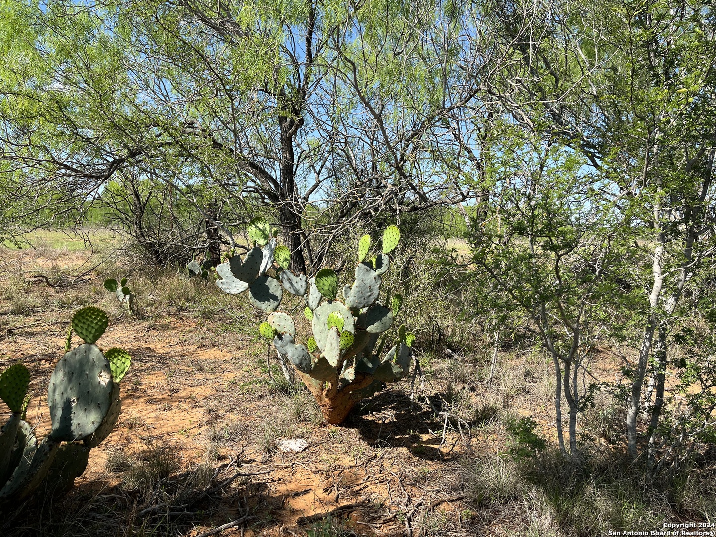 0 Carroll Road Dilley TX 78017