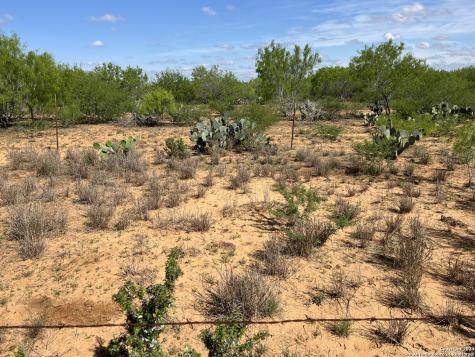 0 Carroll Road Dilley TX 78017