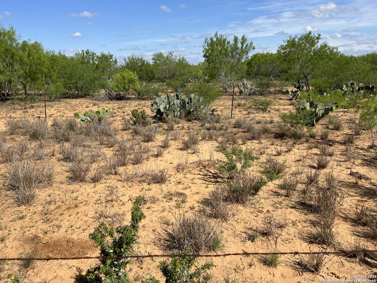 0 Carroll Road Dilley TX 78017
