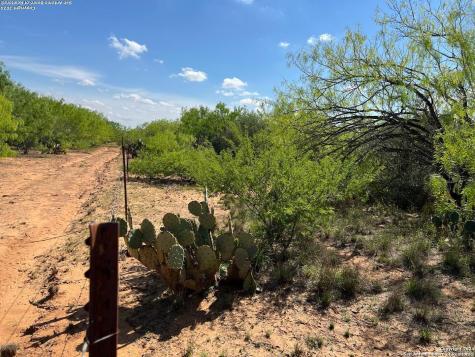 0 Carroll Road Dilley TX 78017