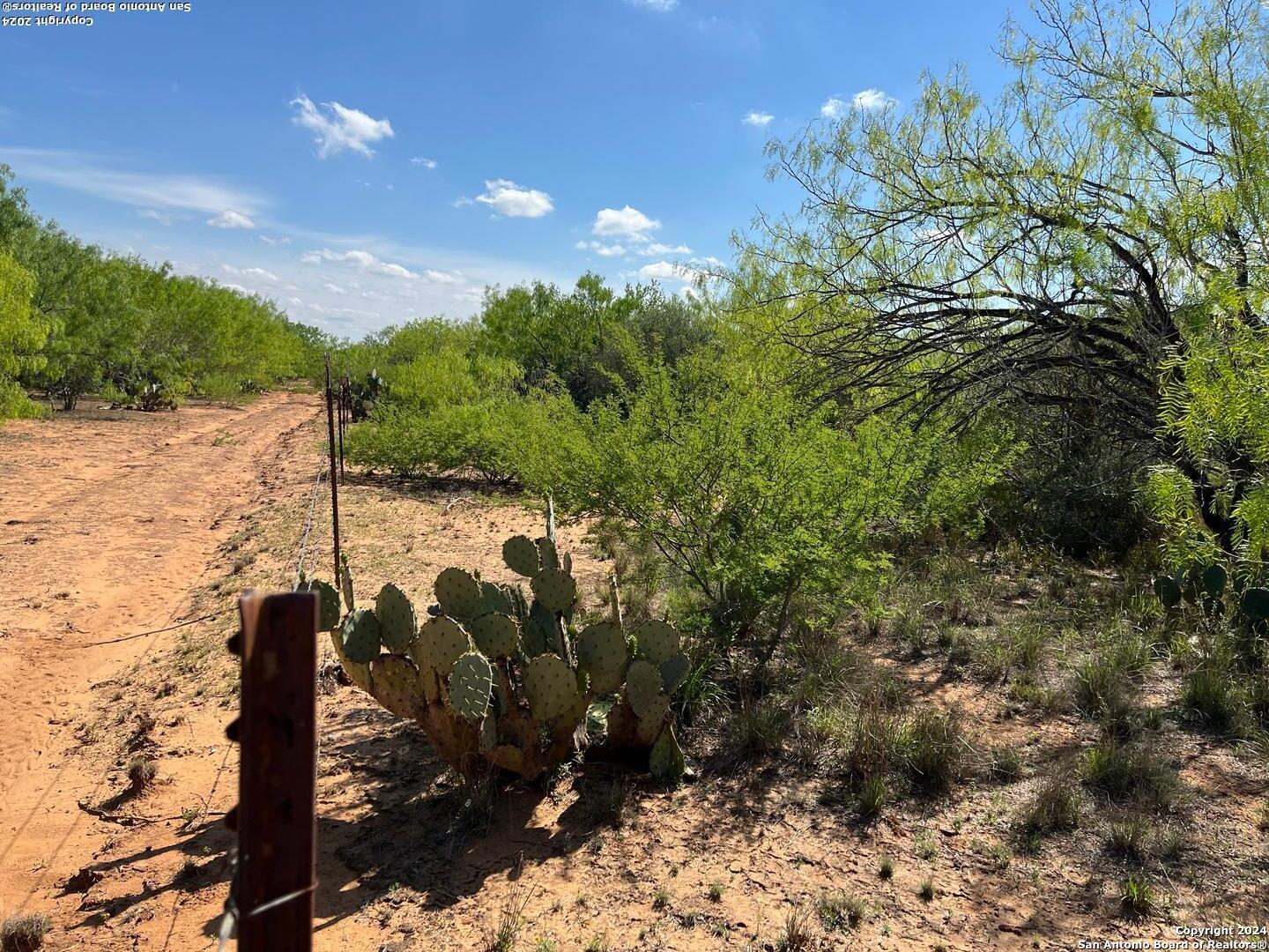 0 Carroll Road Dilley TX 78017