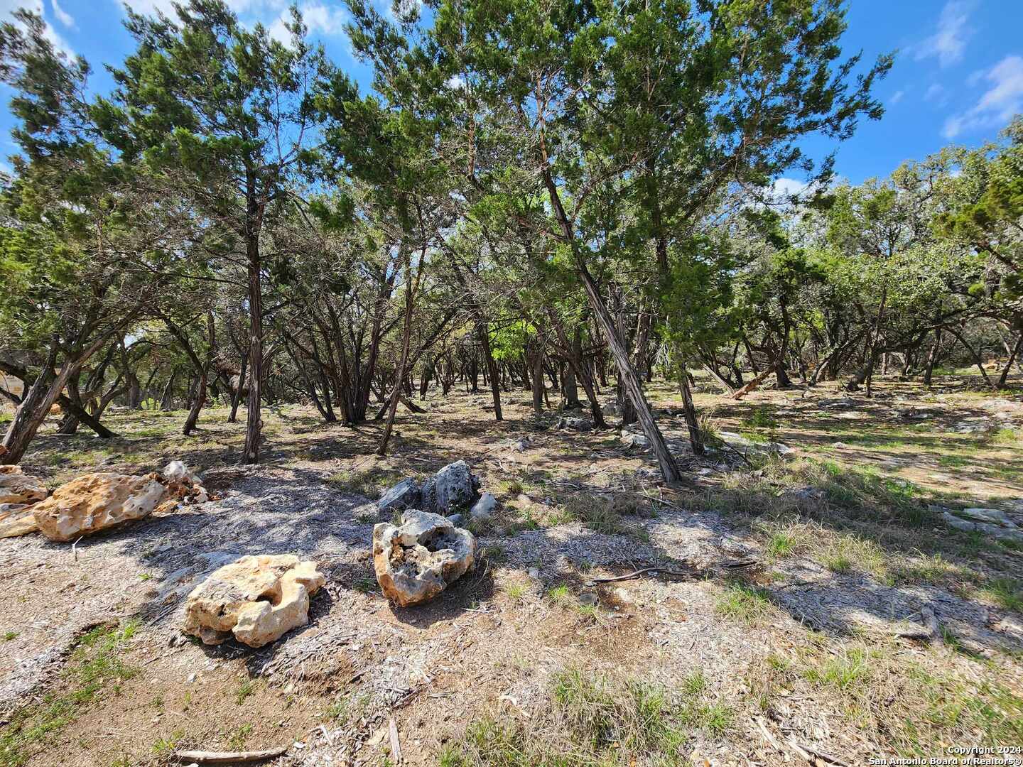 Lot 19 Forest Lake Drive Spring Branch TX 78070