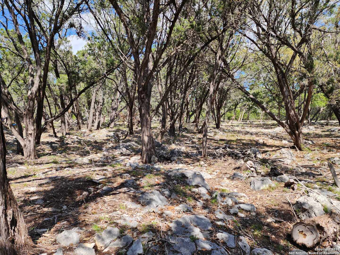 Lot 19 Forest Lake Drive Spring Branch TX 78070