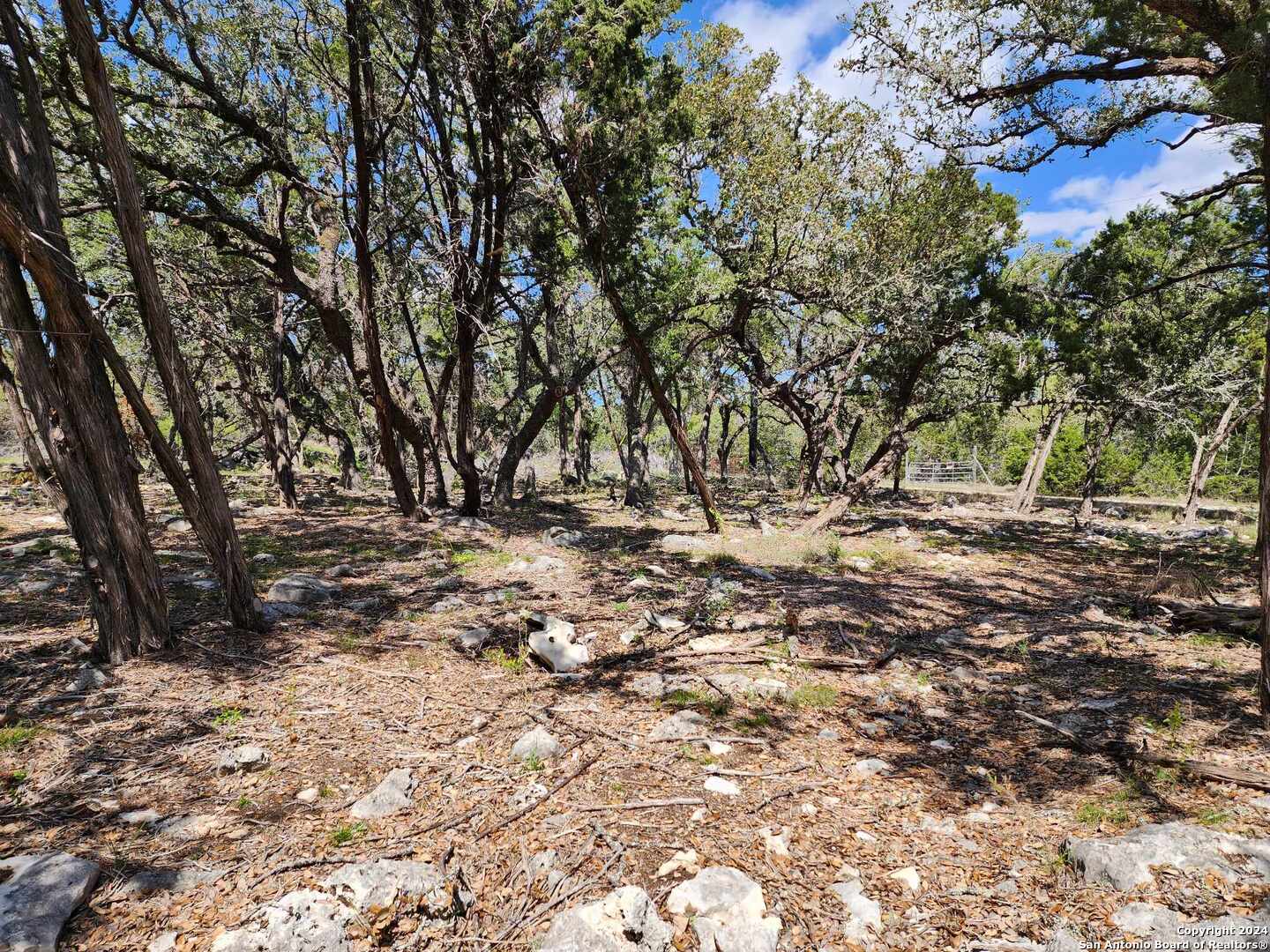 Lot 19 Forest Lake Drive Spring Branch TX 78070