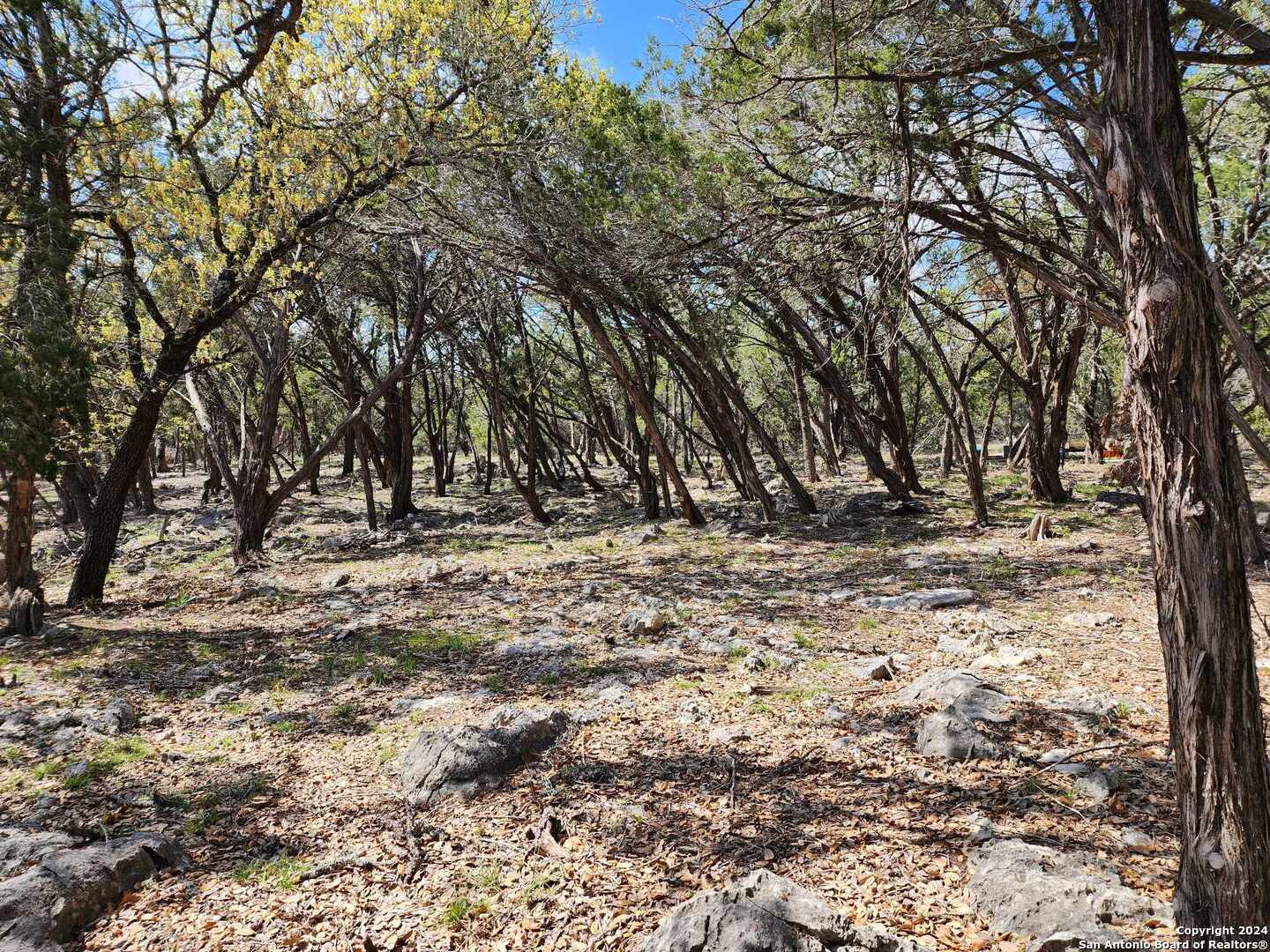 Lot 19 Forest Lake Drive Spring Branch TX 78070