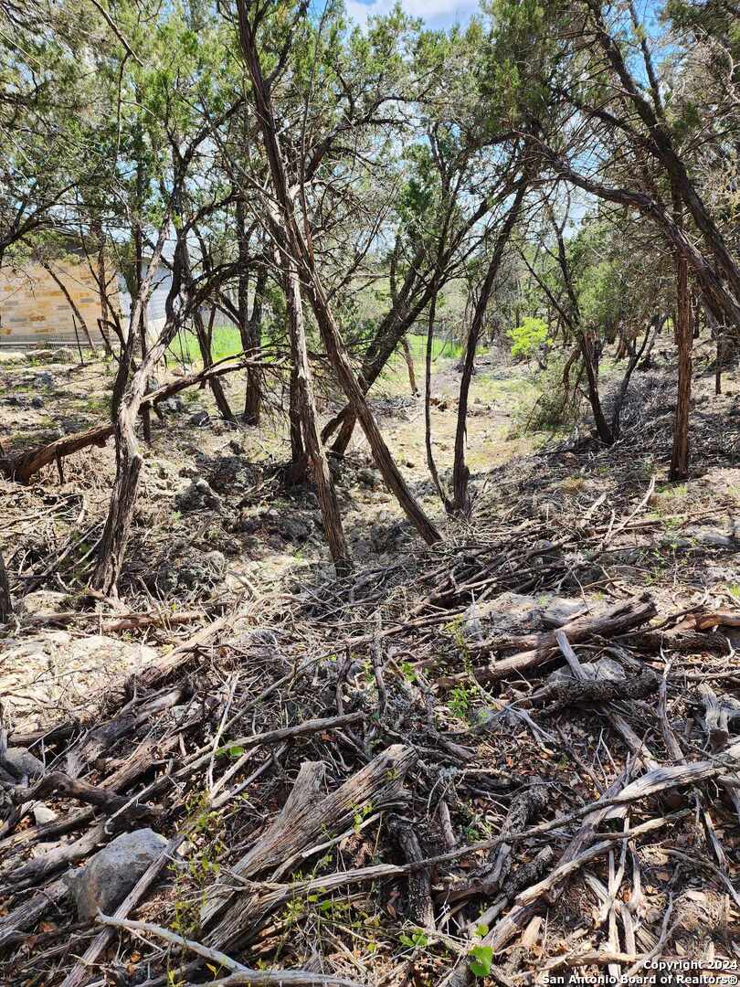 Lot 19 Forest Lake Drive Spring Branch TX 78070
