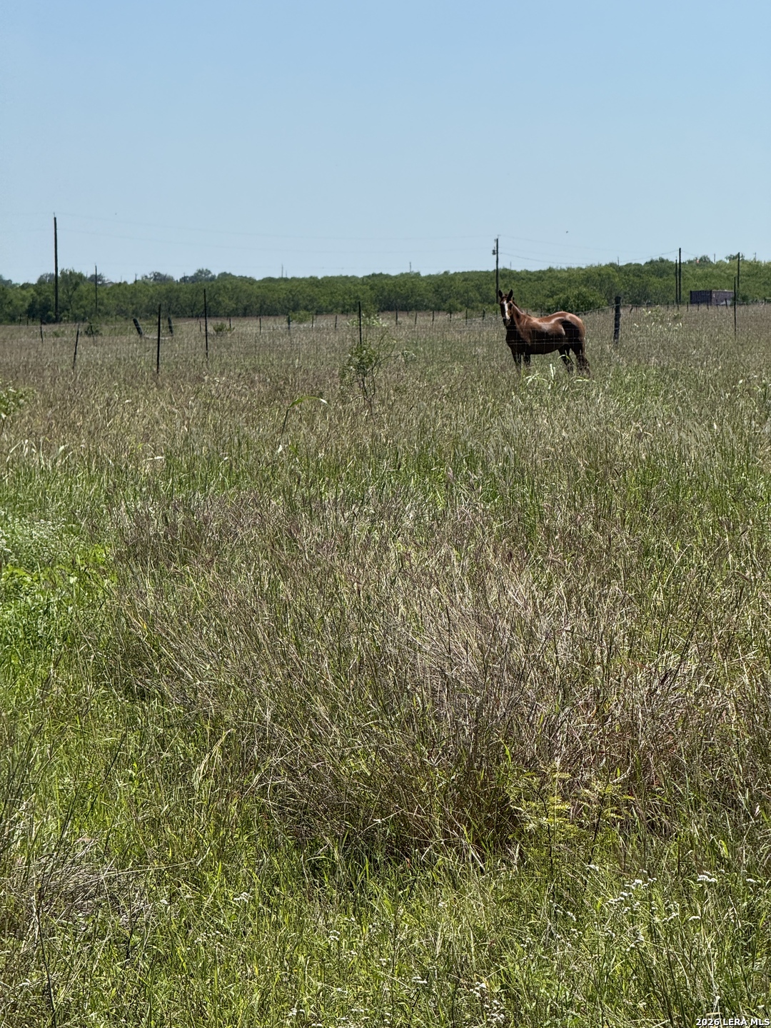 2731 Atascosa County Road 101 Floresville TX 78114