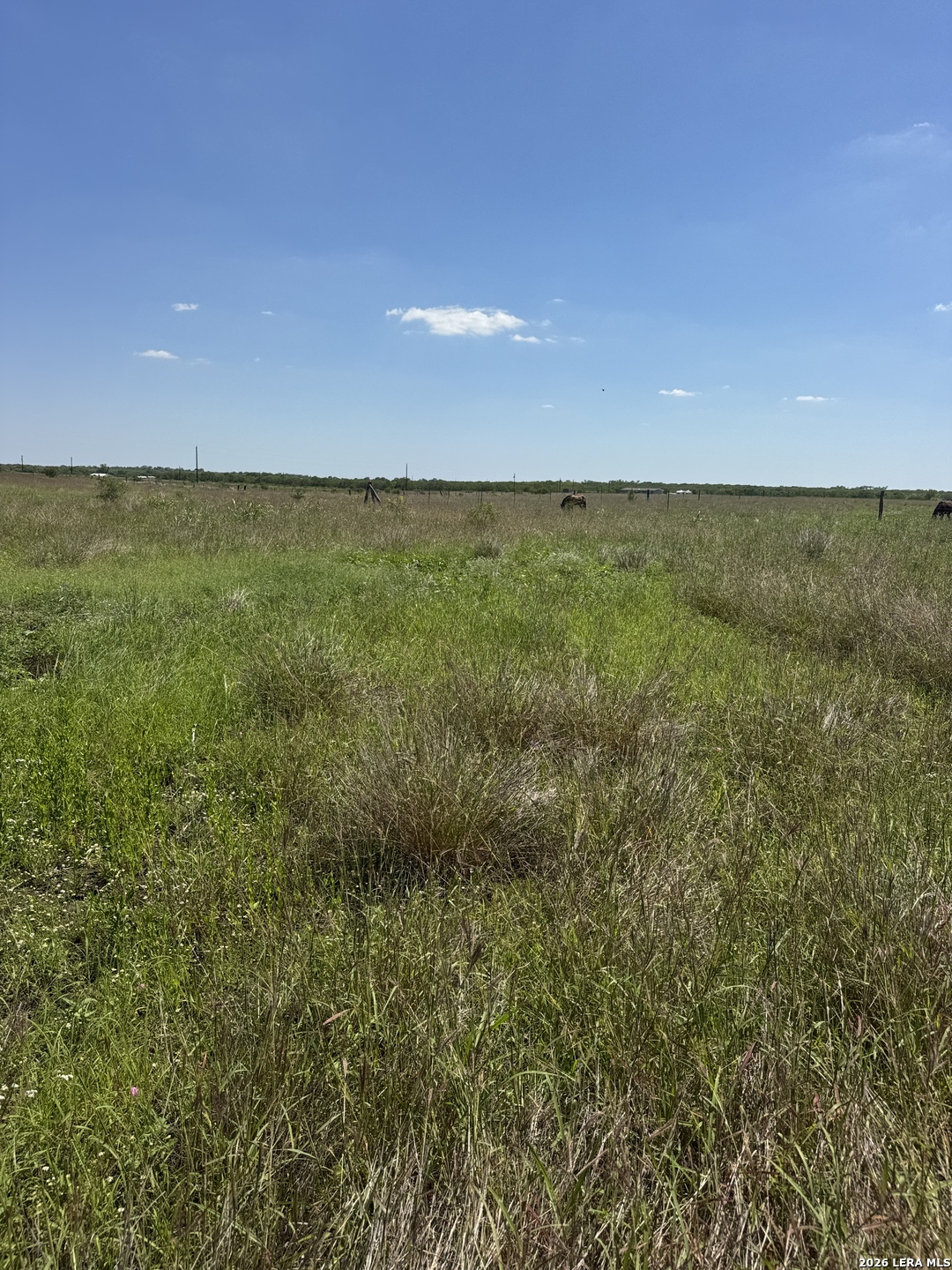 2731 Atascosa County Road 101 Floresville TX 78114