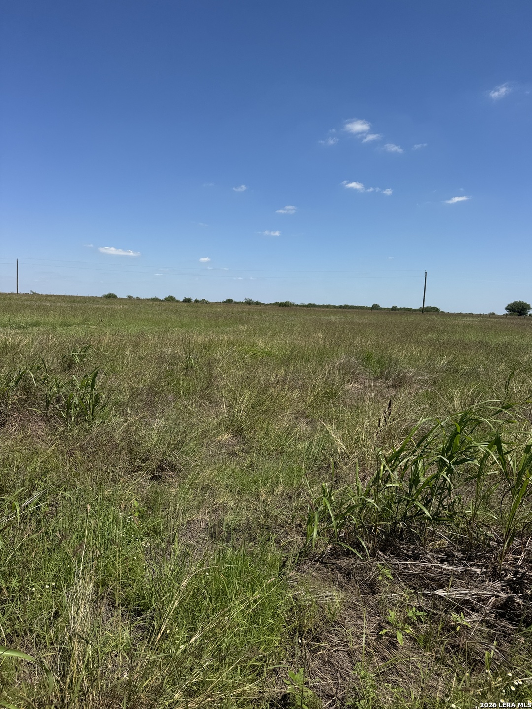 2731 Atascosa County Road 101 Floresville TX 78114