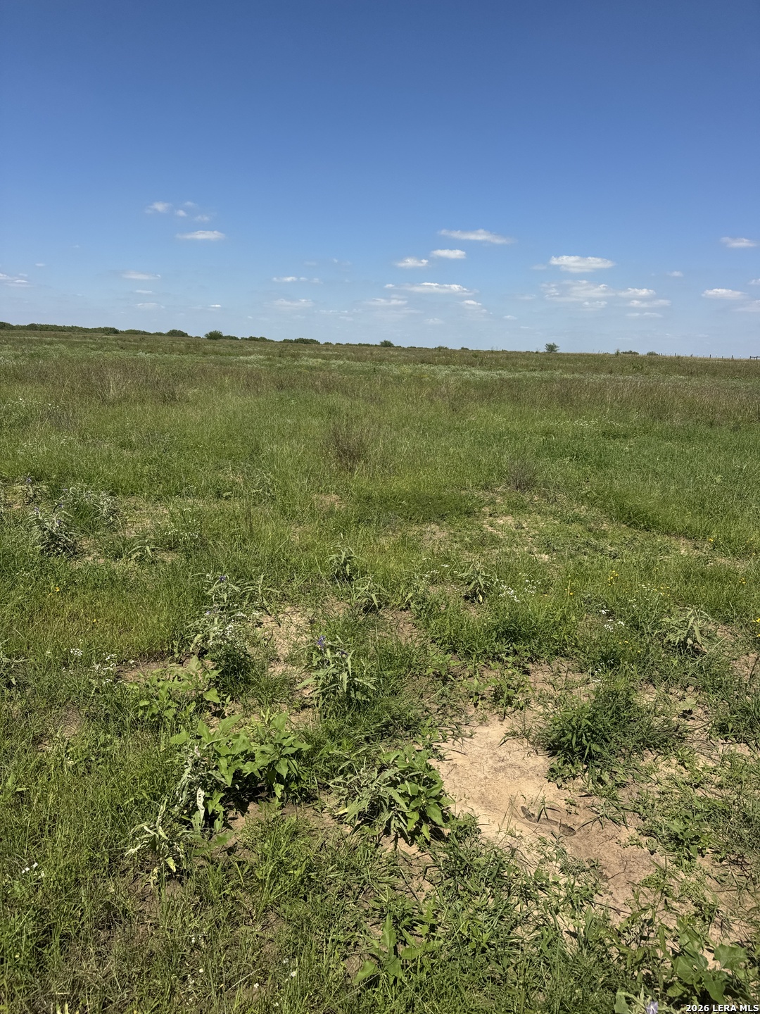 2731 Atascosa County Road 101 Floresville TX 78114