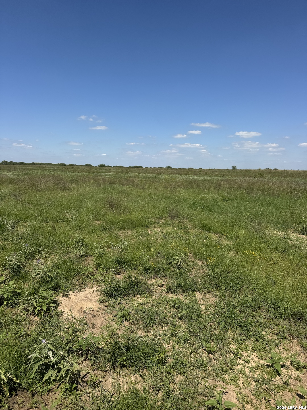 2731 Atascosa County Road 101 Floresville TX 78114