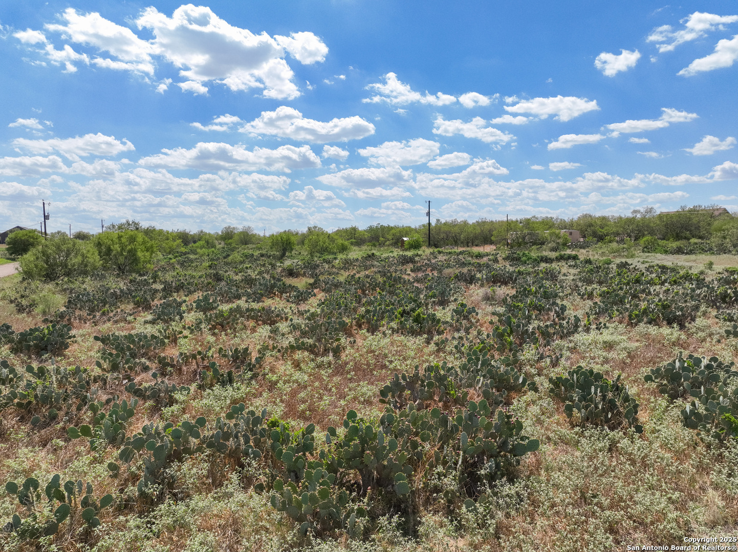 311 County Road 1647 Moore TX 78057