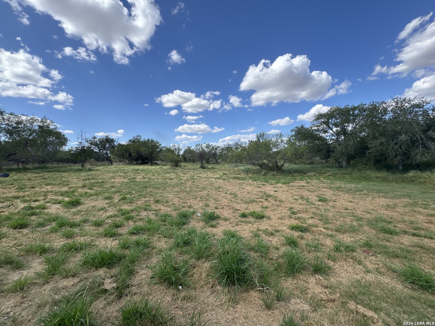 1512 Sandy Pleasanton TX 78064