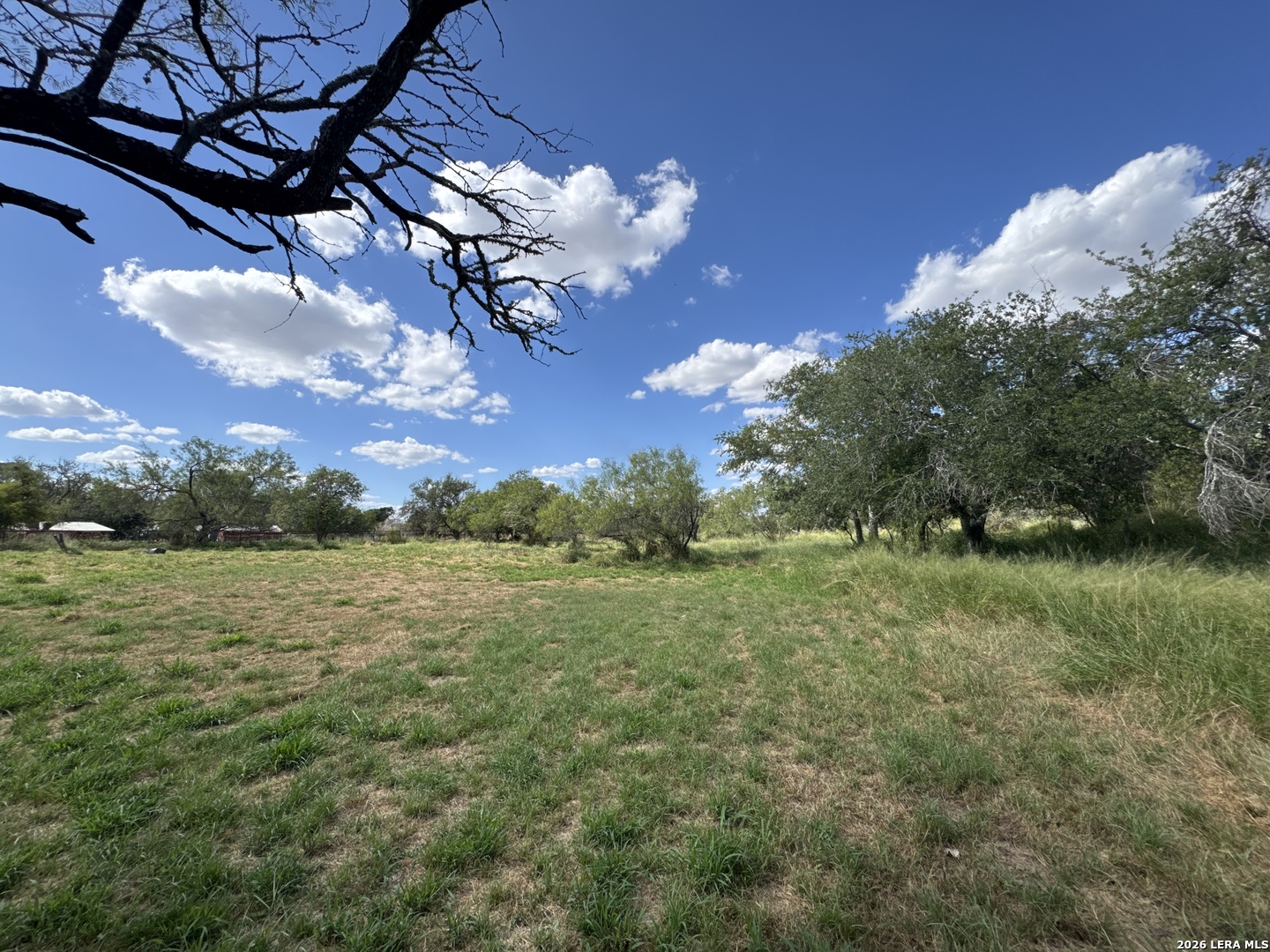 1512 Sandy Pleasanton TX 78064