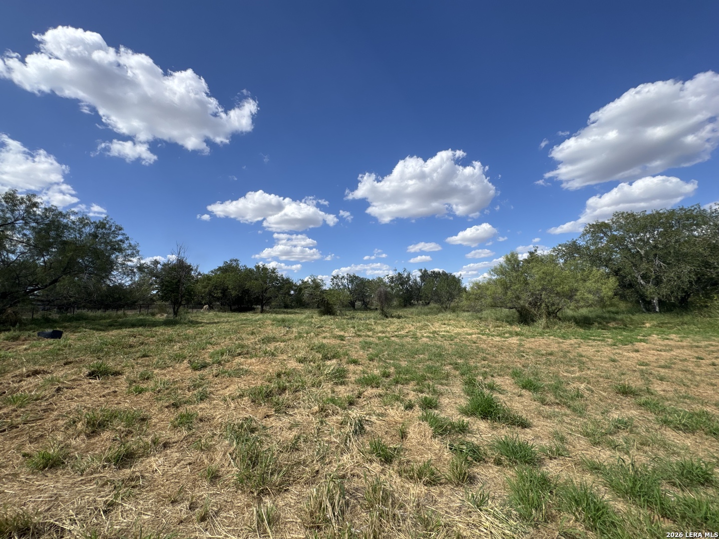 1512 Sandy Pleasanton TX 78064