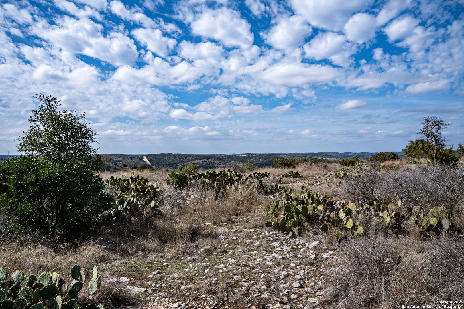 90 Vista Real Boerne TX 78006